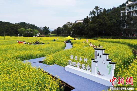 3月16日、江西省婺源県秋口鎮李坑村の菜の花畑で開催された郷村の特色溢れる花畑音楽会（撮影?劉占昆）。